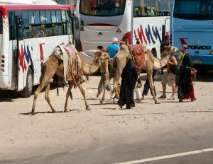 Busfahrt in der Wüste